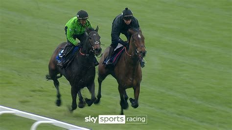 fighting fifth hurdle|Constitution Hill flies to spectacular success in .